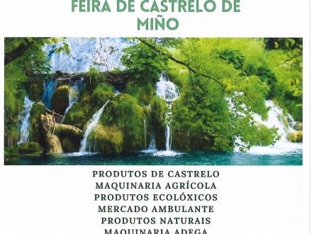 FERIA DE CASTRELO DE MI�O