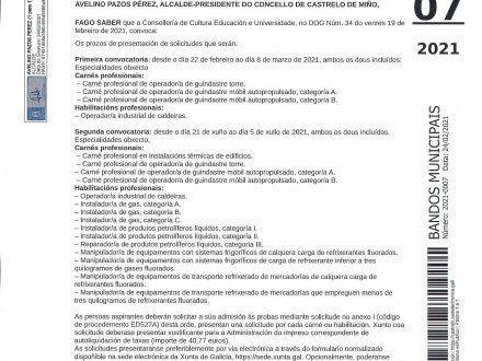 PRUEBAS PARA LA OBTENCI�N DE CARN�S PROFESIONALES