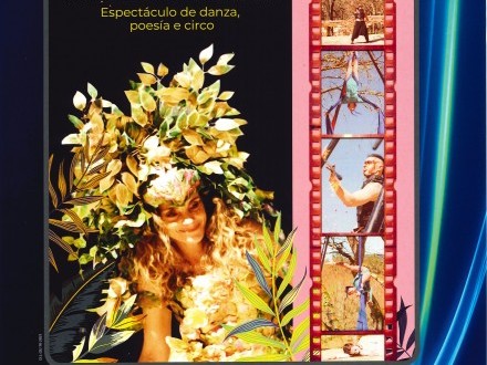 Conmemoraci�n d�a de las letras gallegas