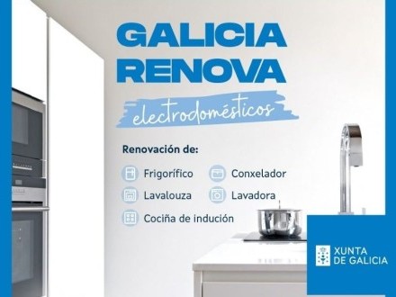 GALICIA RENOVA ELECTRODOM�STICOS (Plan Renove)
