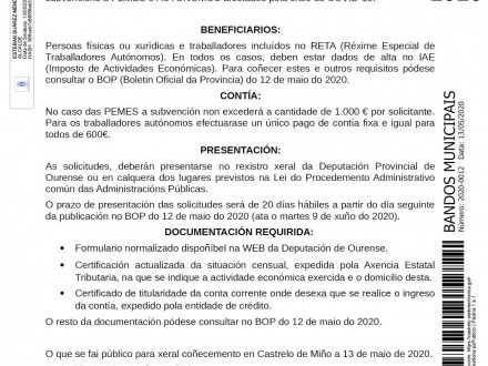 BANDO 12/2020: Subvenciones a PYMES y AUT�NOMOS
