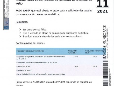 Ayudas compra electrodom�sticos