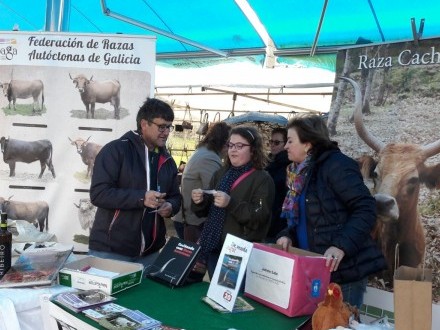 Ga�adores do concurso CastreloSabe