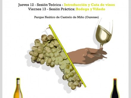 Curso de Iniciaci�n � Cata e Cultura do Vi�o do Ribeiro