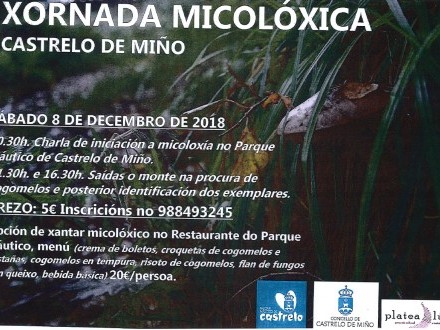 JORNADA MICOL�GICA EN CASTRELO DE MI�O