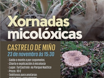 Xornadas Micol�xicas en Castrelo de Mi�o