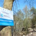 Castrelo de Mi�o acolle a terceira actuaci�n do Obradoiro A Ribeira