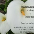 Presentaci�n do poemario Haikus y (par�ntesis) de Jaime Moreda Santamar�a