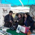 Ga�adores do concurso CastreloSabe