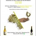 Curso de Iniciaci�n � Cata e Cultura do Vi�o do Ribeiro