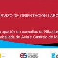 Servizo de orientaci�n laboral